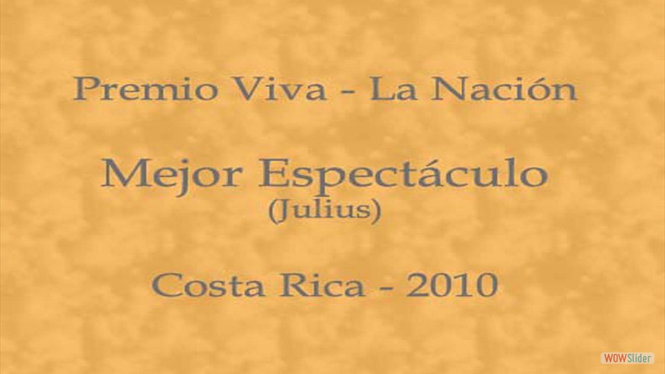 Premio Viva 2010